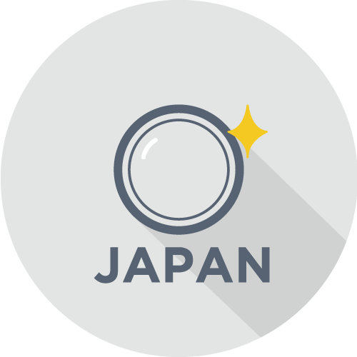 iCam PRO BlueEyes Technology Group